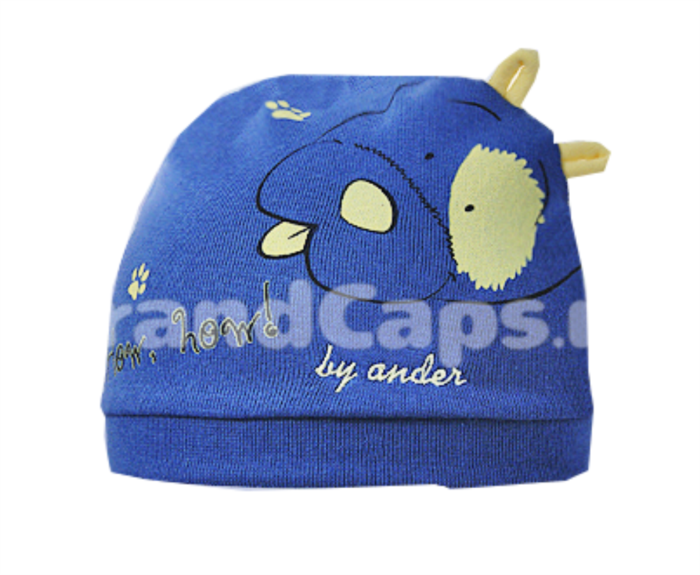 Шапка дет Ander (АРТ. W17-5052/(5052))