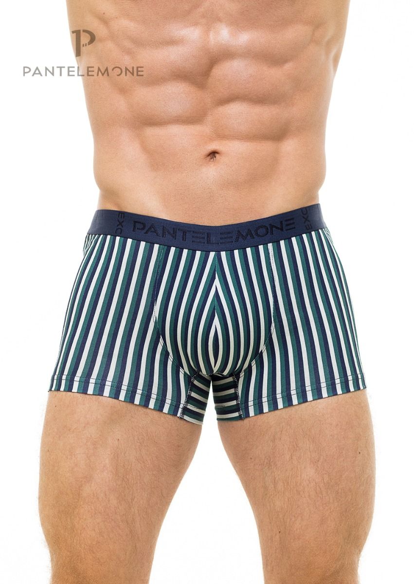 Трусы муж (АРТ. PMH-1156)