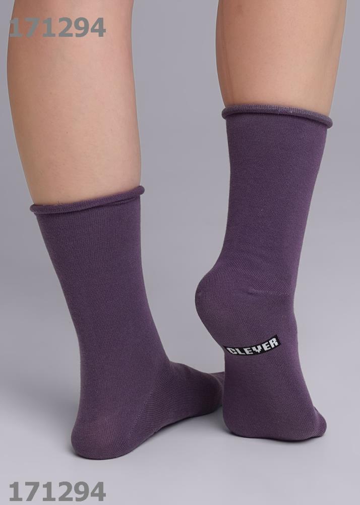 Носки жен (АРТ. Д2304)