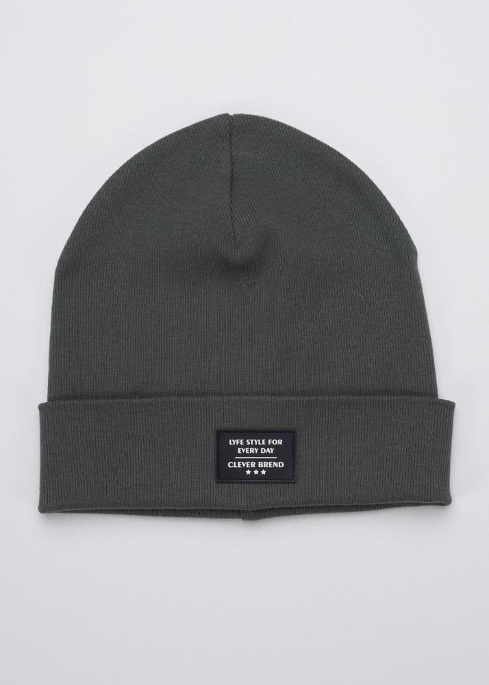 Шапка дет (АРТ. 436298ш)