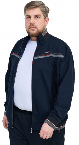 Толстовка  муж (АРТ. м.2629-1)