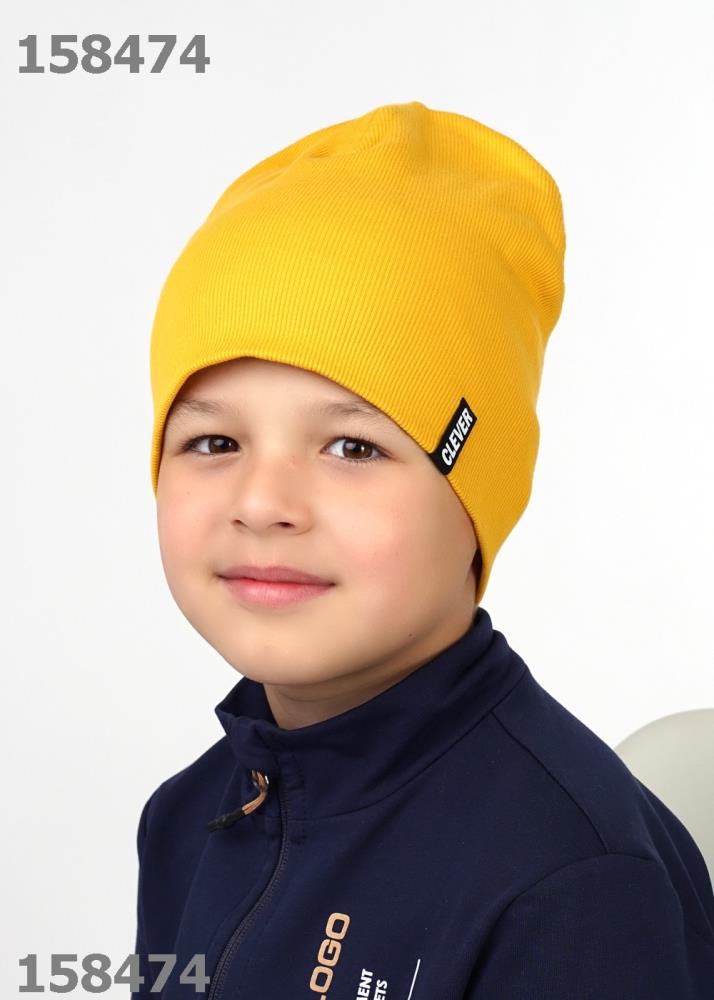 Шапка дет Clever (АРТ. 425709ш)