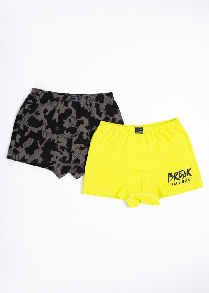 Трусы мал (упак-2 шт) Clever (АРТ. BSH5509)