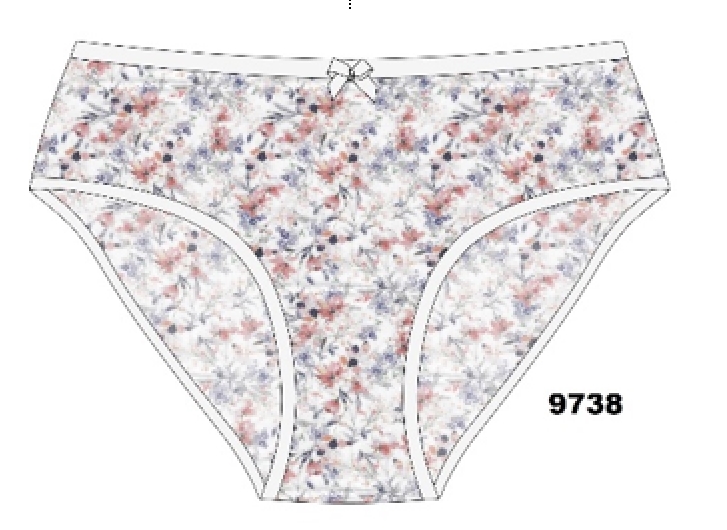 Трусы жен (АРТ. 9738)