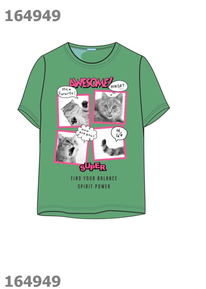 Джемпер дев (АРТ. 835495г_п3)