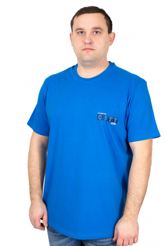 Футболка муж Евразия (АРТ. Д1913-5814)