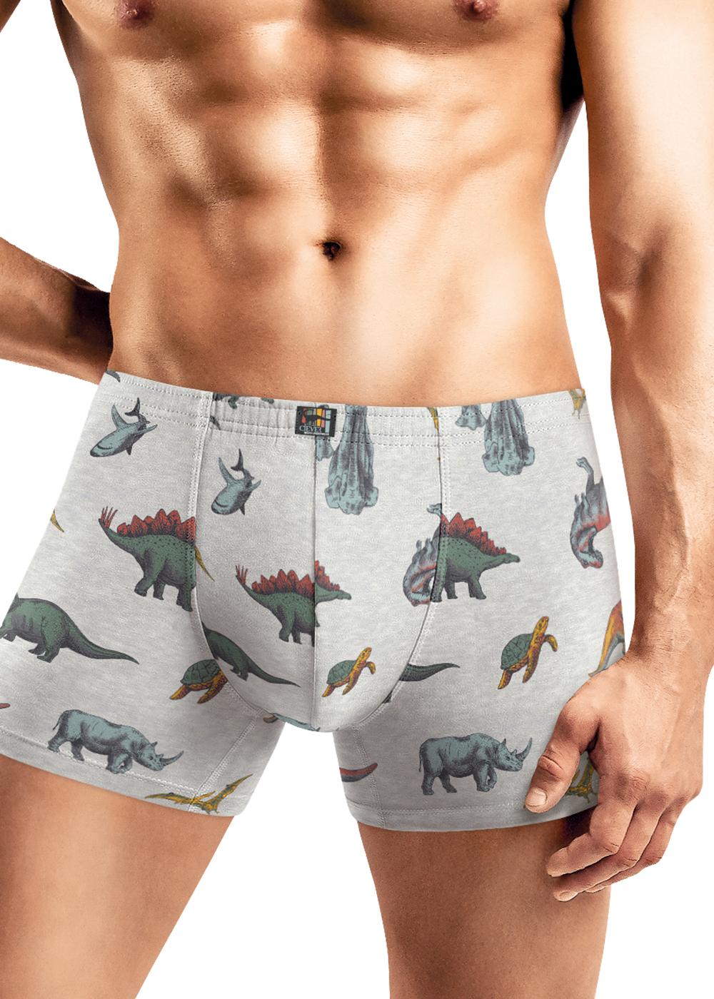 Трусы муж (АРТ. MSH542141)