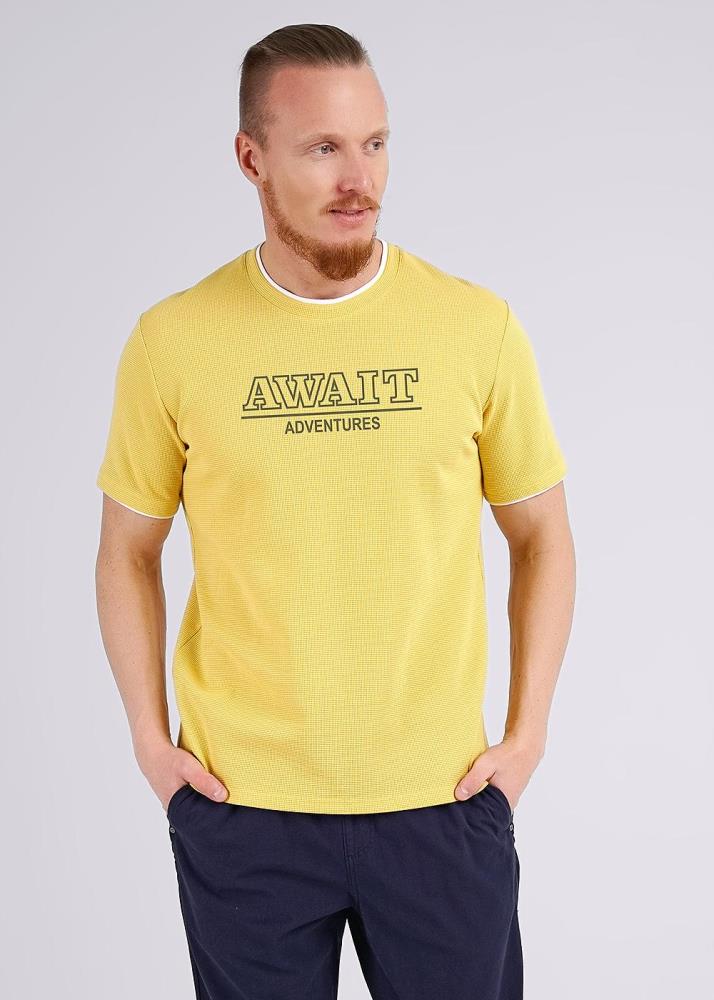 Футболка муж (АРТ. 542386/21шаф)