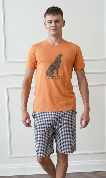 Пижама муж (АРТ. 253411)