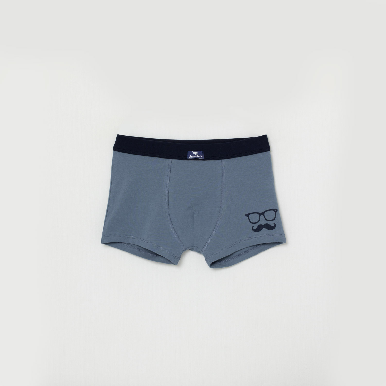 Трусы-боксеры мал (АРТ. CWJB 10079)