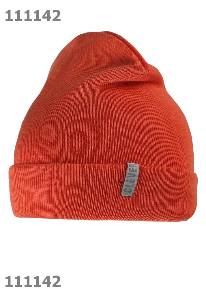 Шапка дет (АРТ. 761273ша)