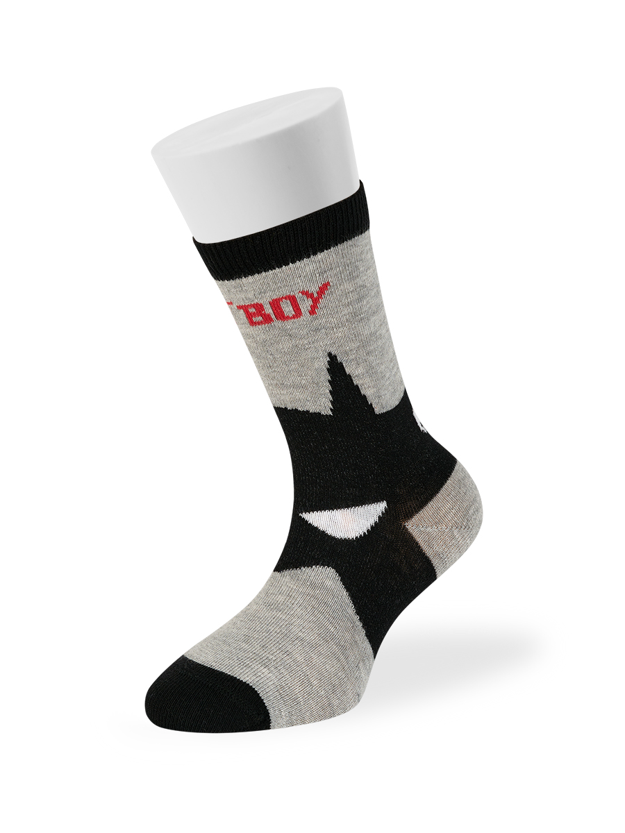 Носки детkids Calzino 23Р61 (АРТ. Calzino 23Р61)