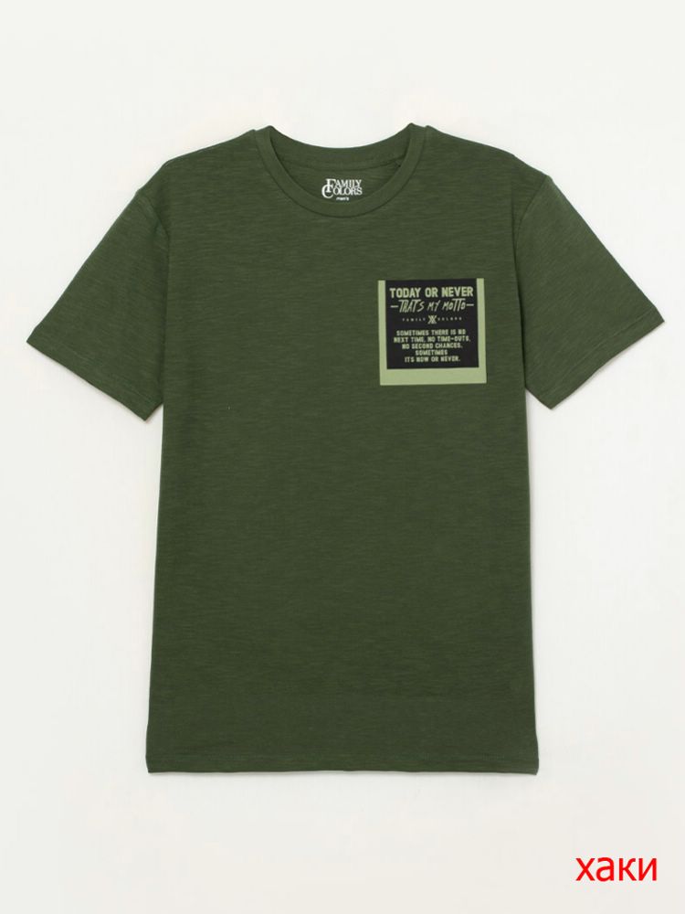 Футболка муж (АРТ. FSMM 60118)