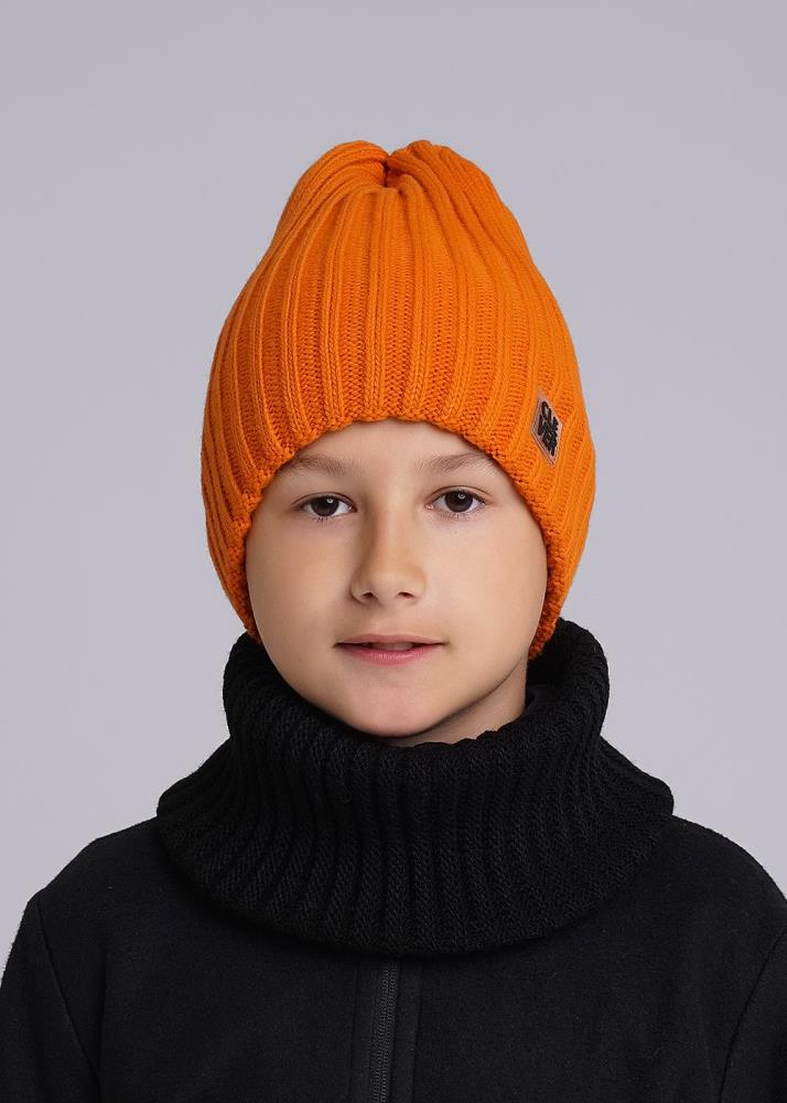 Шапка дет Clever (АРТ. 433814ап)