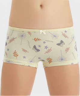 Трусы дев (АРТ. 5302)