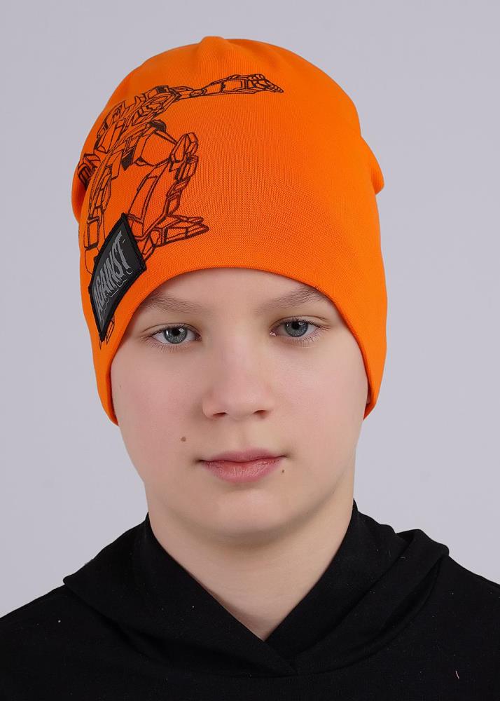 Шапка дет (АРТ. 546602рп)