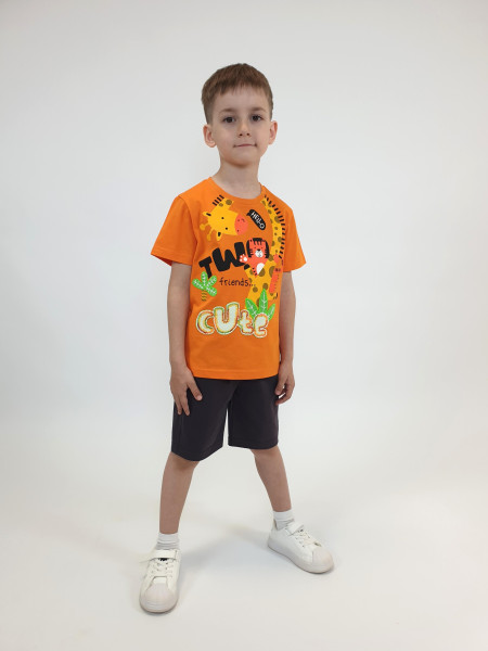 Комплект мал (АРТ. 01-136-5)