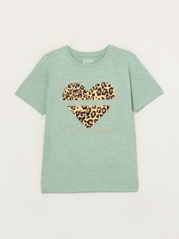 Футболка жен Family Colors (АРТ. FSSW 60149)