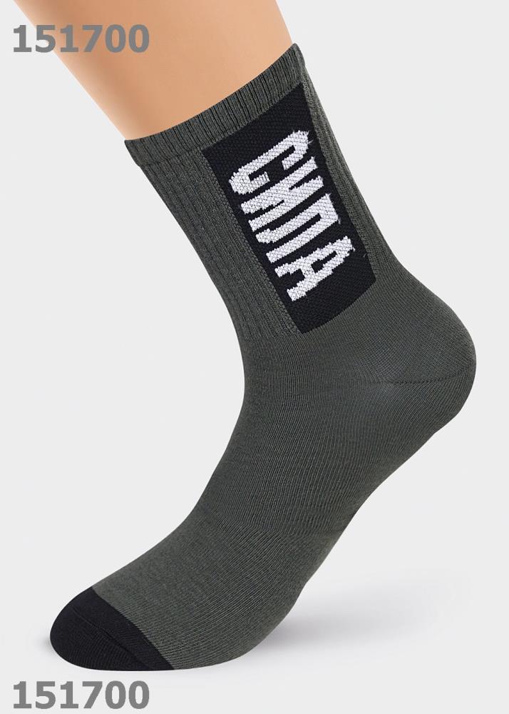 Носки муж Clever (АРТ. К384Л)