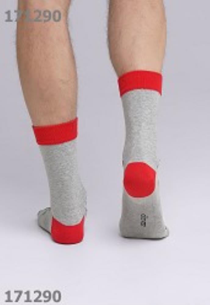 Носки муж (АРТ. К3356Л)