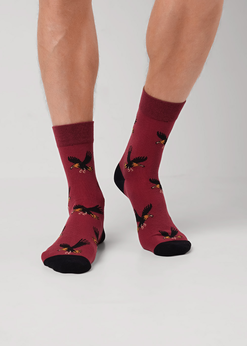 Носки муж   (АРТ. К6600)