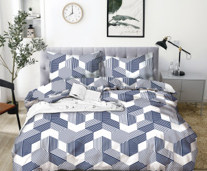 КПБ 1,5-х сп бязь/коробка (АРТ. БГУ4-1024)