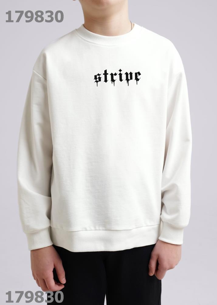 Джемпер мал (АРТ. 846551/76а_п2)