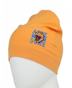 Шапка мал (АРТ. CH 8168)