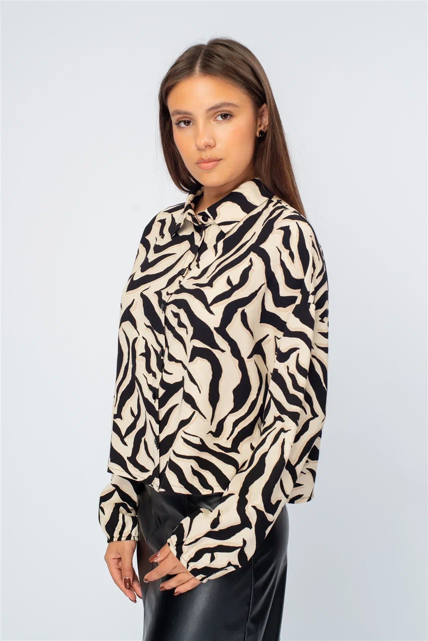 Блузка жен   (АРТ. L2.5006-5S43)