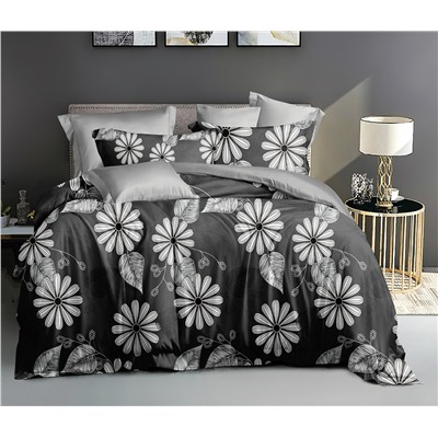 КПБ Евро (АРТ. П-2685)