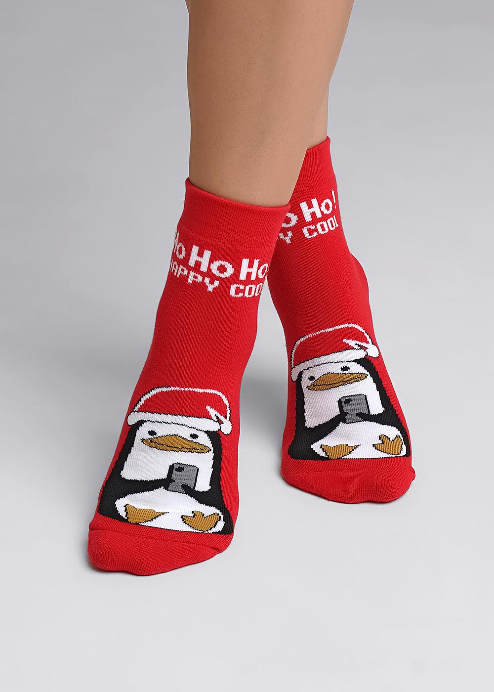 Носки жен (АРТ. Д2351П)