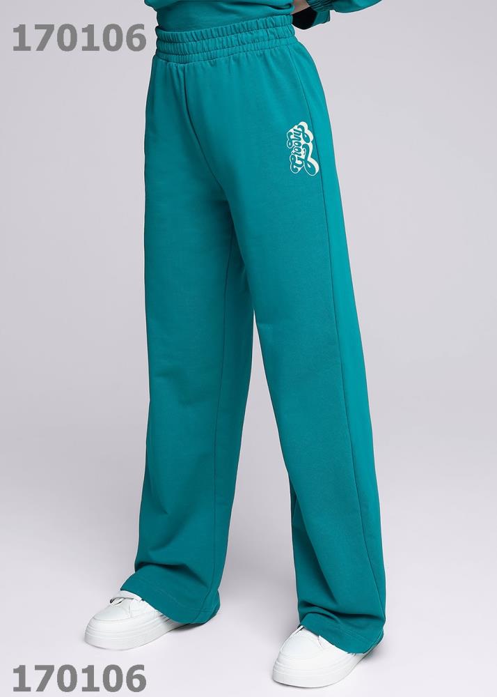 Брюки дев (АРТ. 736254/62у_п)