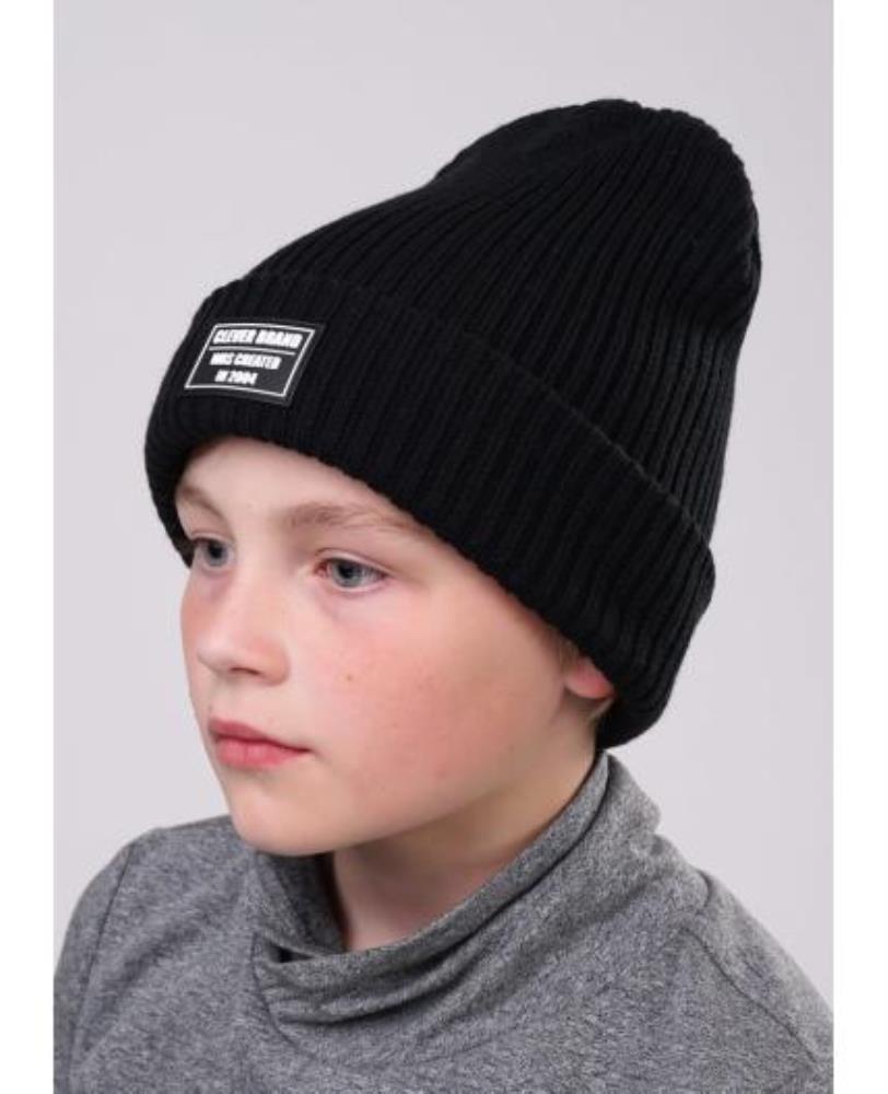 Шапка дет Clever (АРТ. 702831аш)