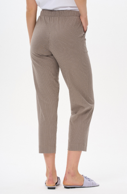 Брюки жен (АРТ. B0280-G81.4S11)