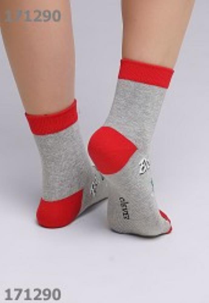 Носки жен (АРТ. Д2356Л)