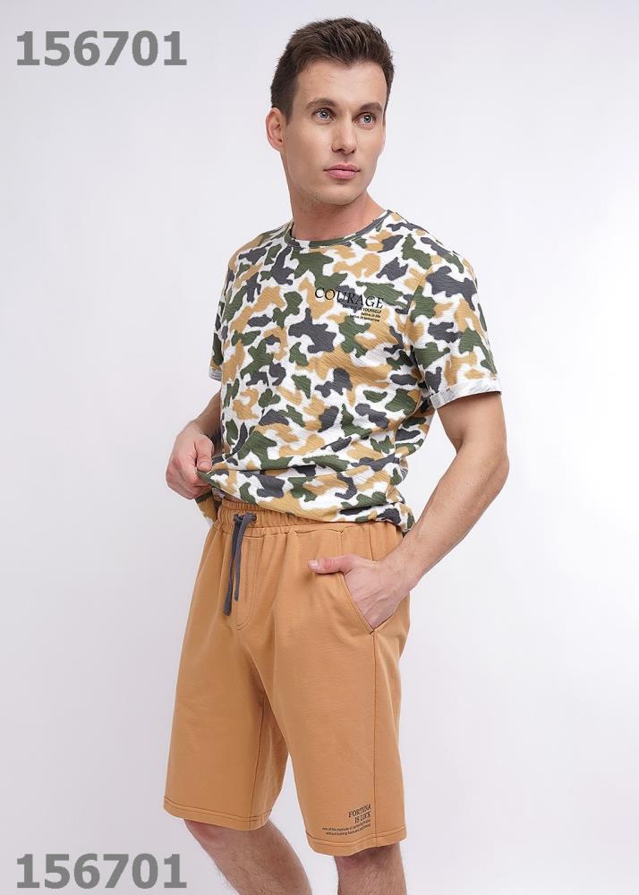 Шорты муж (АРТ. 522049/67а_п)