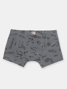 Трусы-боксеры муж (АРТ. CSXM 10052)