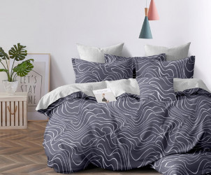 КПБ 2-х сп поплин (АРТ. П-2861)