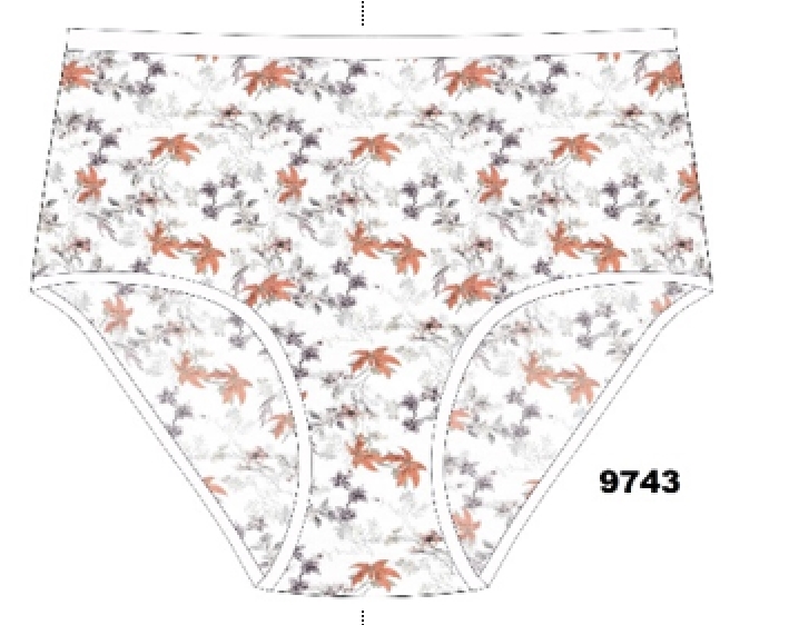 Трусы жен (АРТ. 9743)