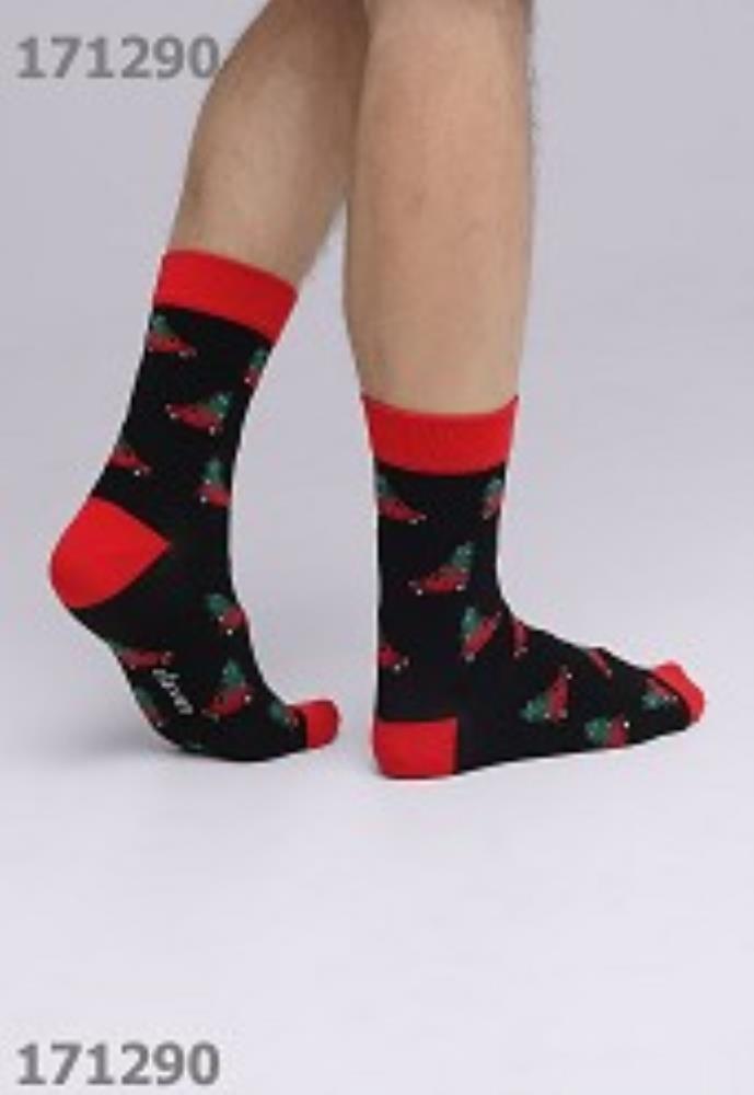 Носки муж (АРТ. К3362Л)