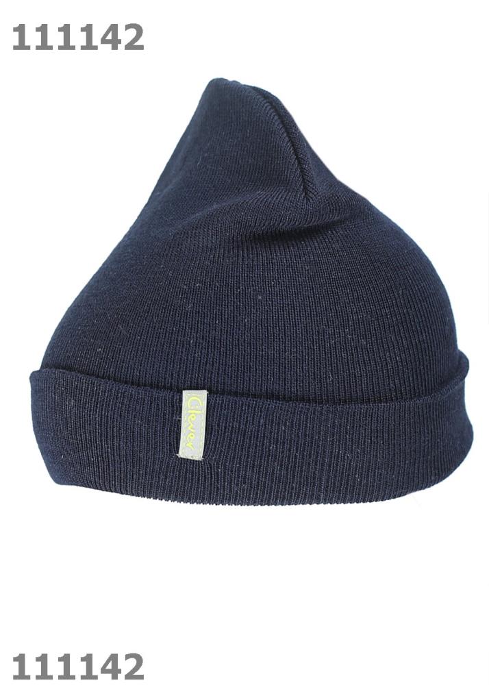 Шапка дет (АРТ. 761273ша)