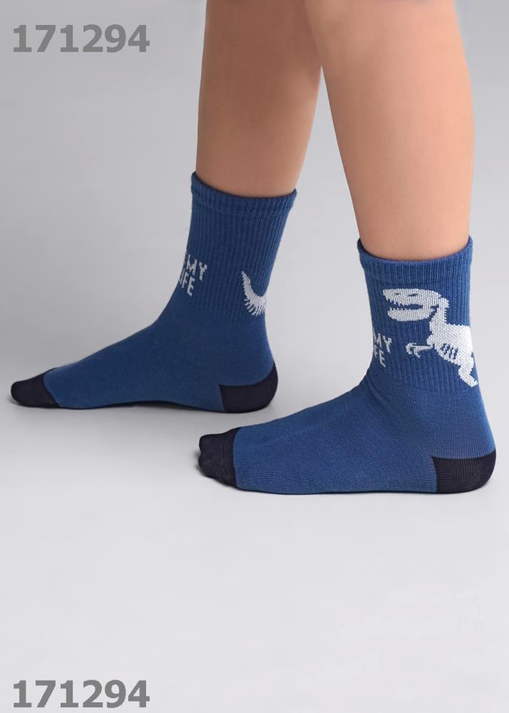 Носки дет (АРТ. С4319)