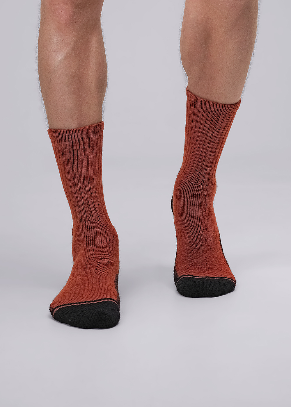 Носки муж (АРТ. BM441т)