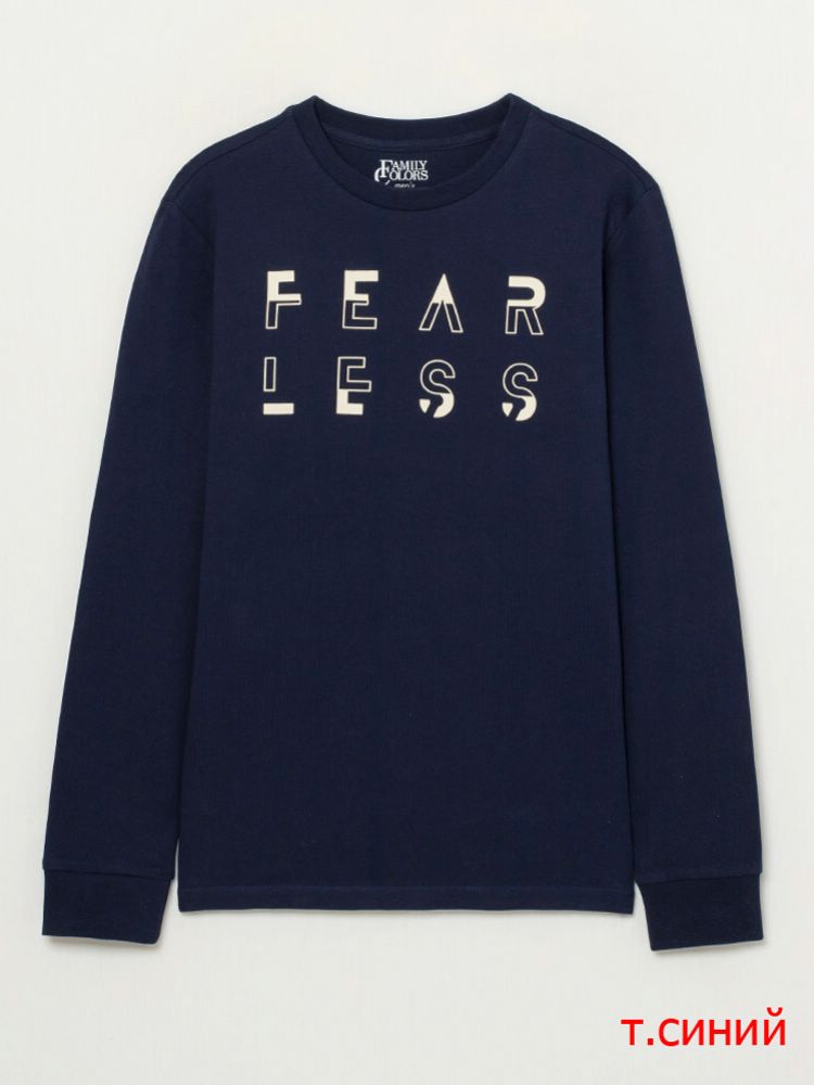 Джемпер муж  Family Colors (АРТ. FWSM 60065)