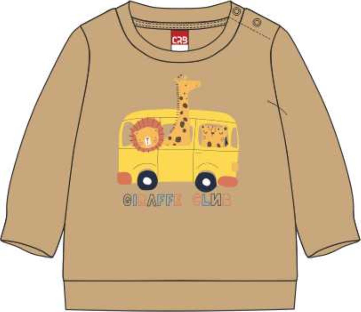 Джемпер мал (АРТ. CSBB 63755)