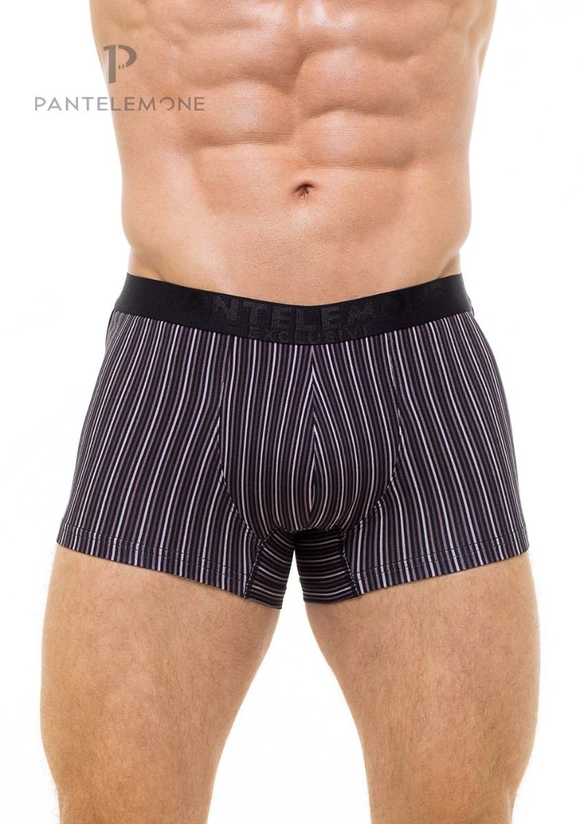 Трусы муж (АРТ. PMH-1170)