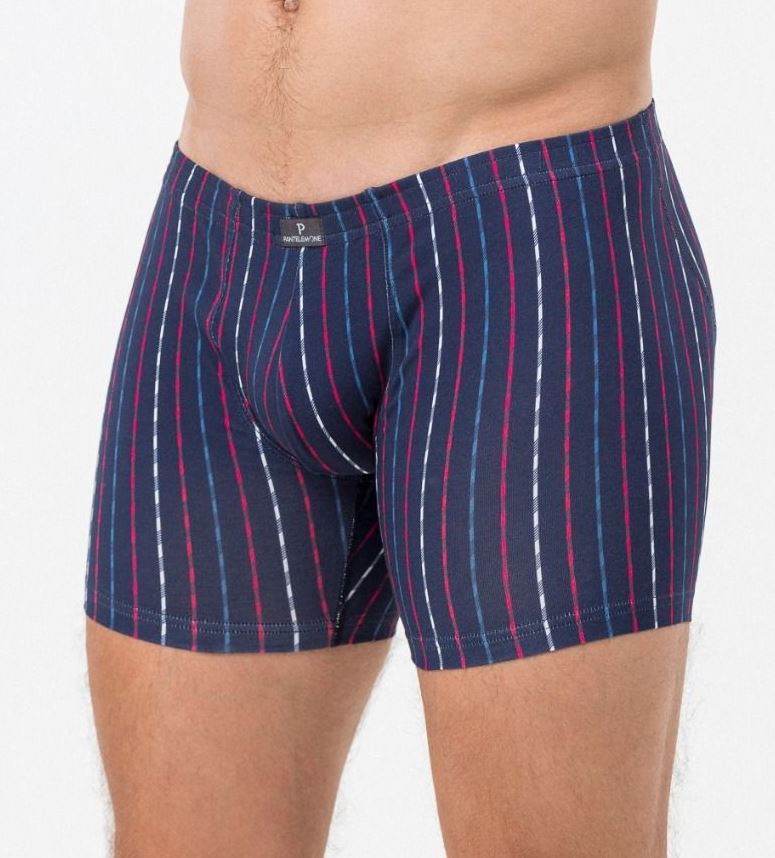 Трусы муж (АРТ. PMHL-1476)