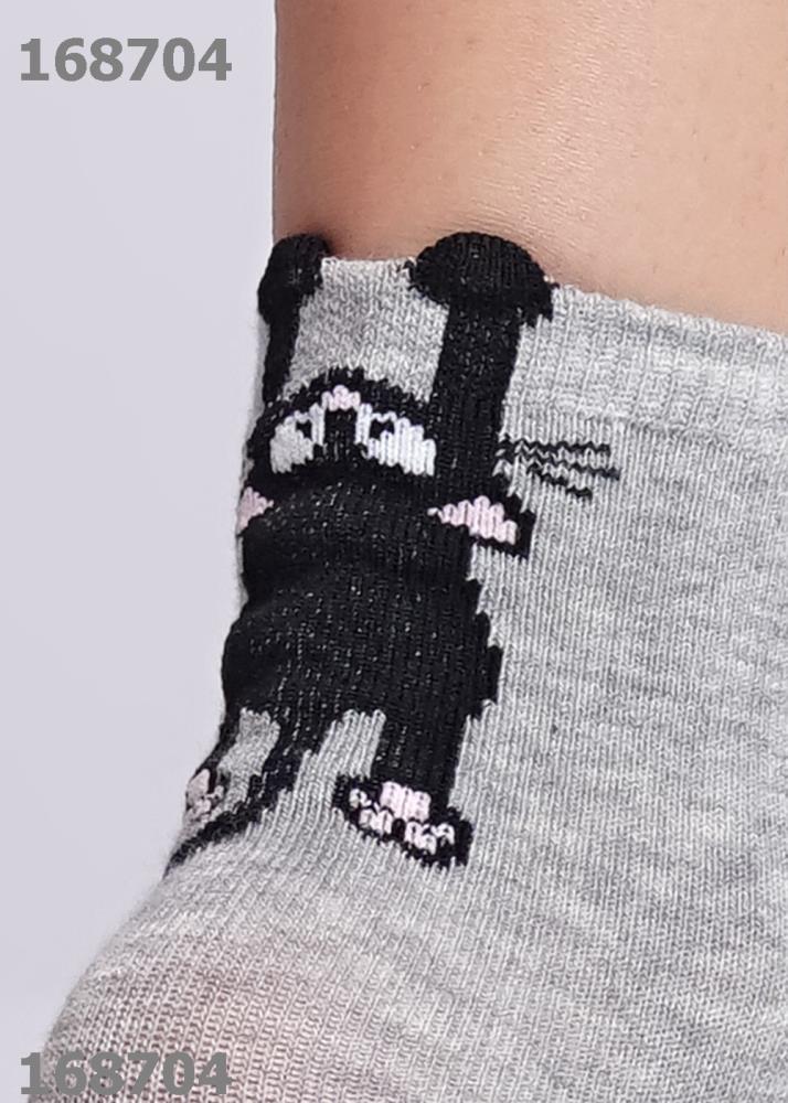 Носки дет (АРТ. С13108)