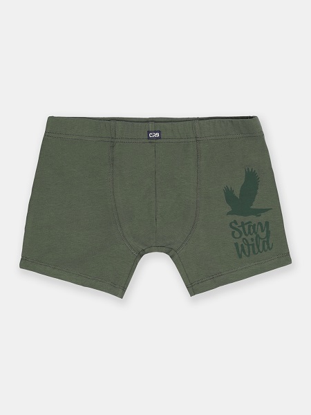 Трусы-боксеры муж (АРТ. FWXM 10046)