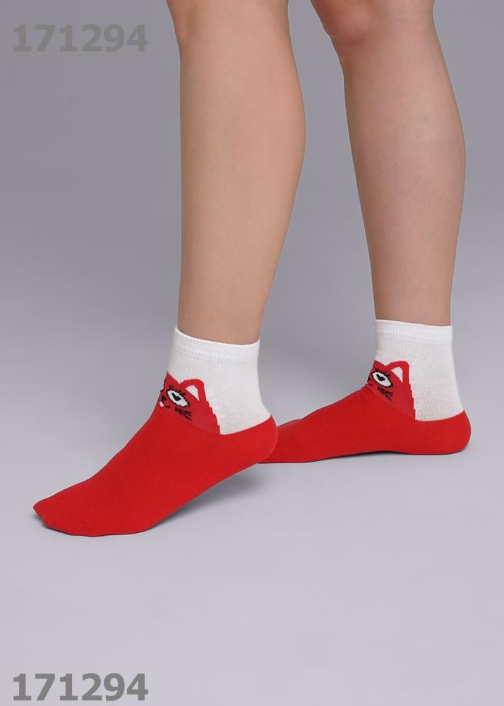 Носки дет (АРТ. С4313)